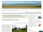 Internet Marketing and Organic SEO